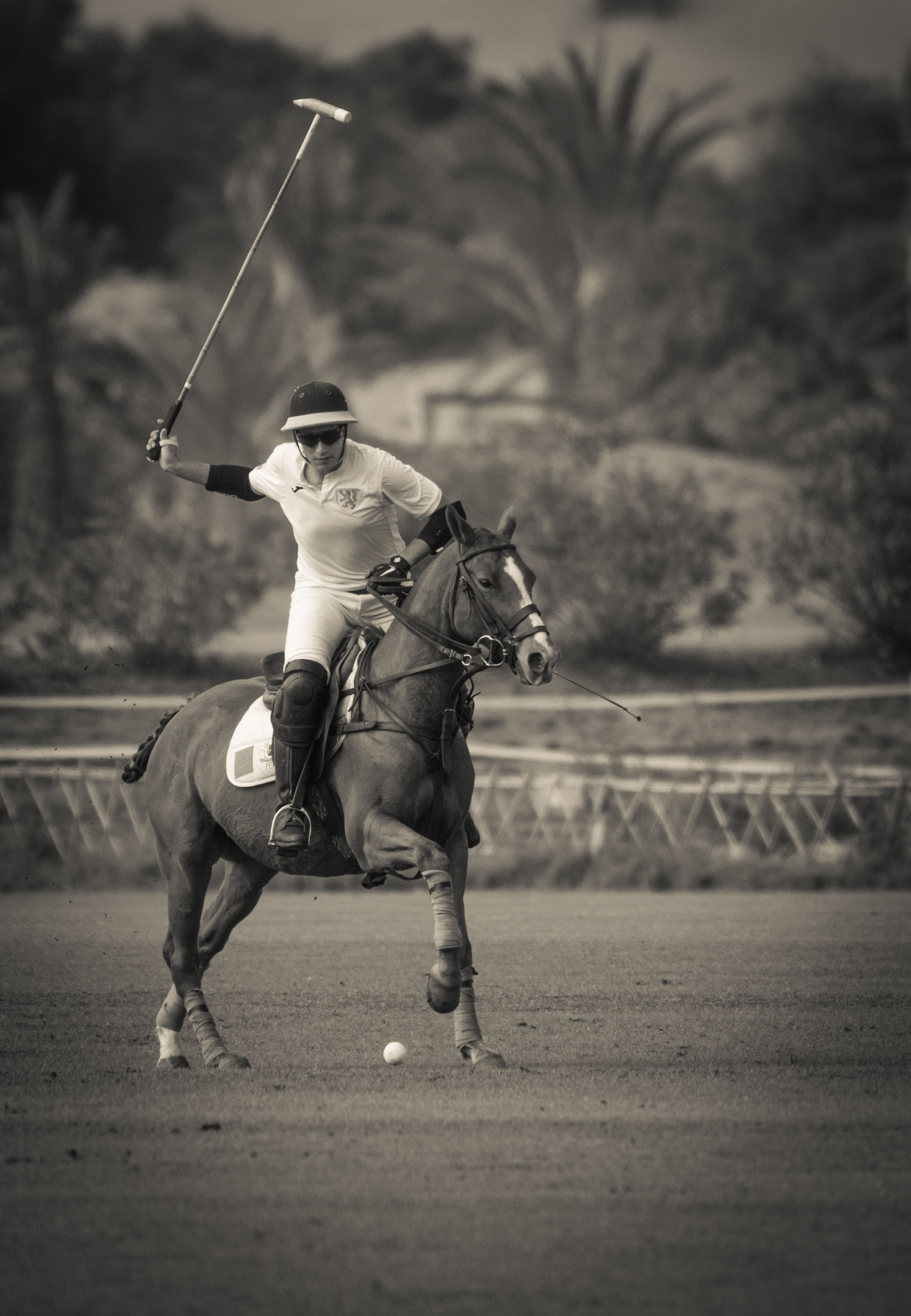 Polo